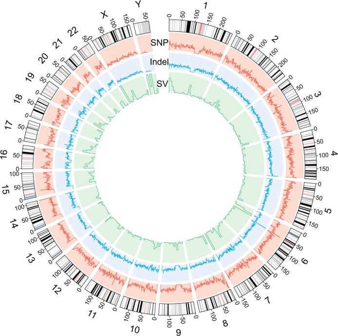 Fig. 2.—