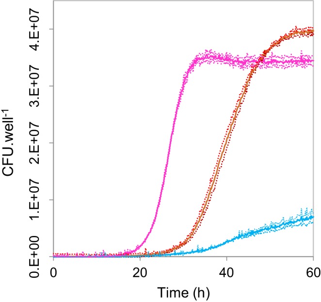 Figure 1—figure supplement 2.