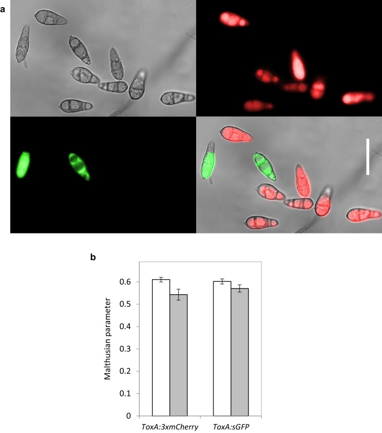 Figure 2—figure supplement 2.