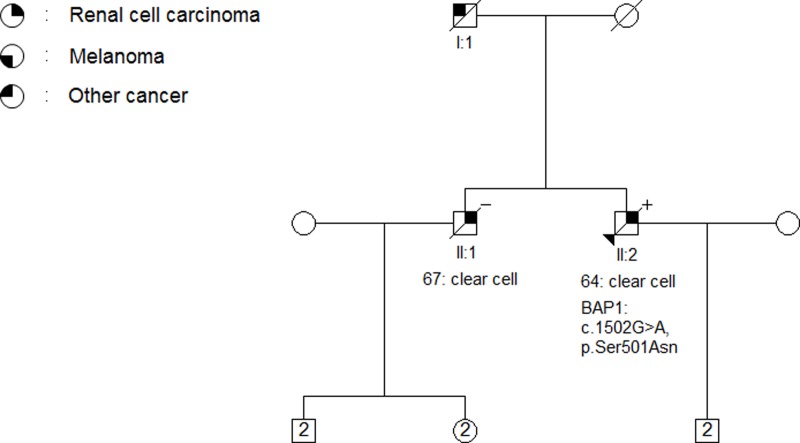 Fig 5