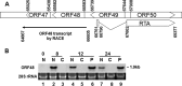 FIG 1