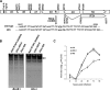 FIG 6
