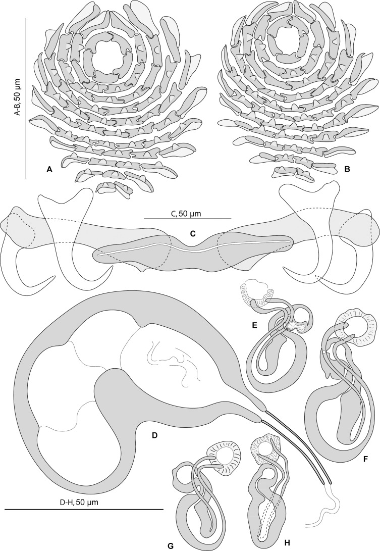 Fig 5