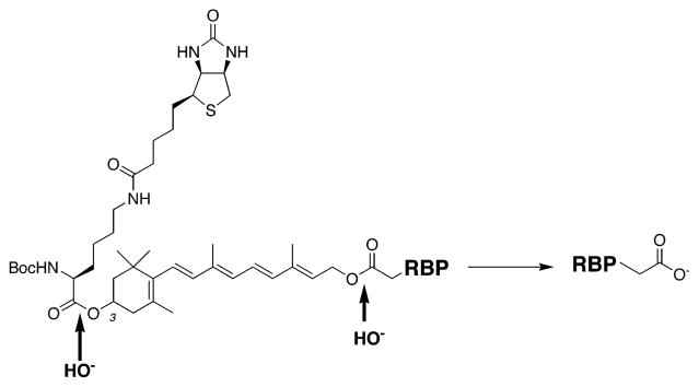 Scheme 3