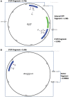 FIG. 2.