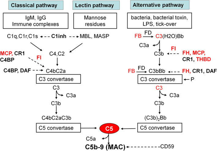 FIGURE 1