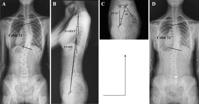 Fig. 1