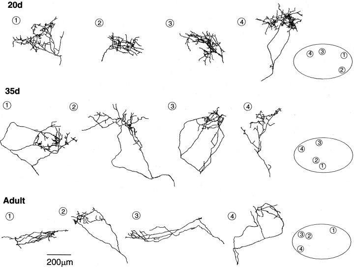 Fig. 3.