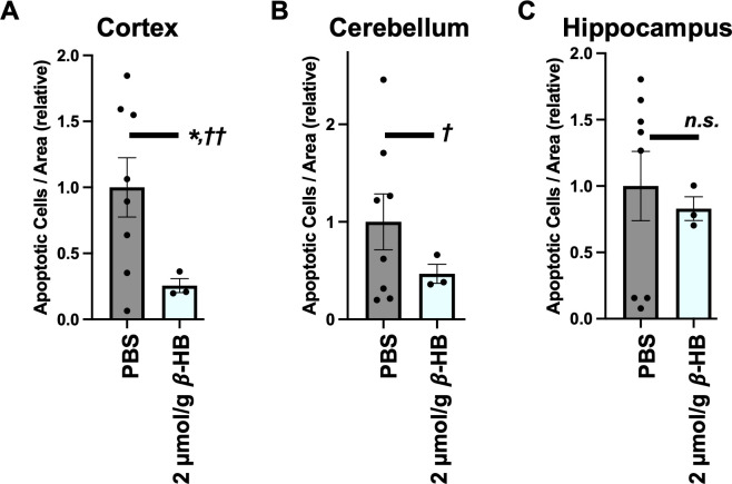 Figure 6—figure supplement 3.