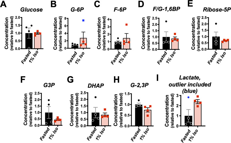 Figure 5—figure supplement 1.