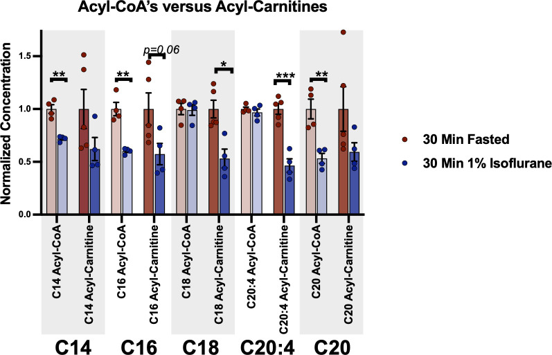 Figure 6—figure supplement 2.