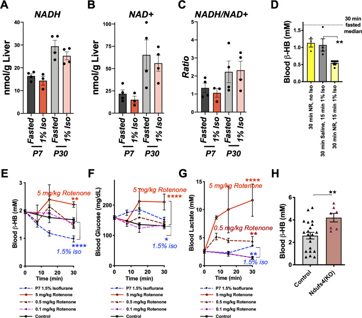 Figure 6—figure supplement 1.