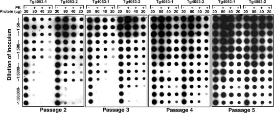 Fig. 5.