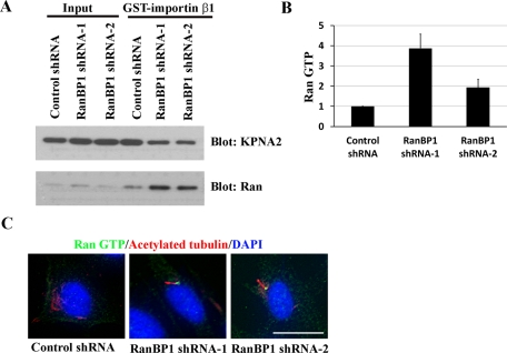 FIGURE 6: