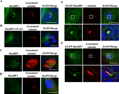 FIGURE 3: