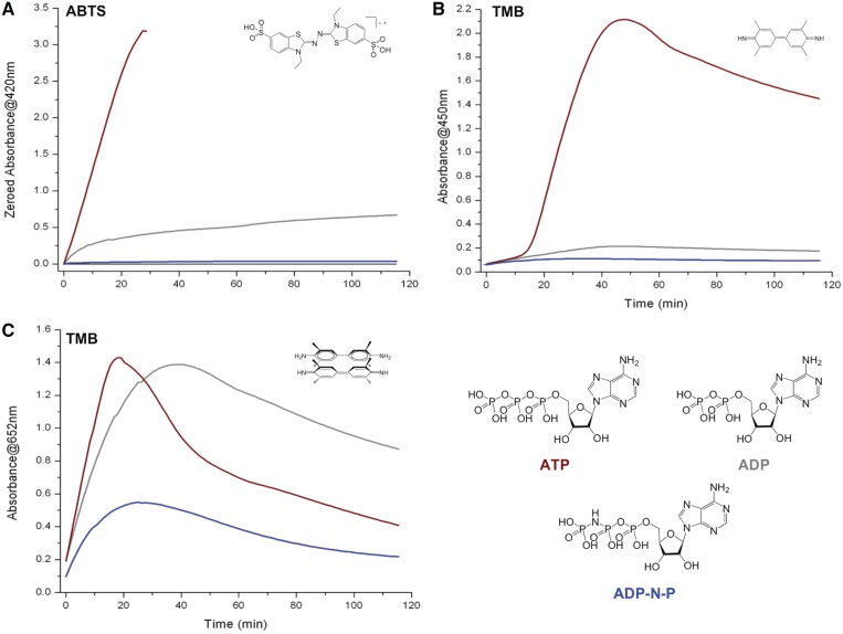 Figure 4.