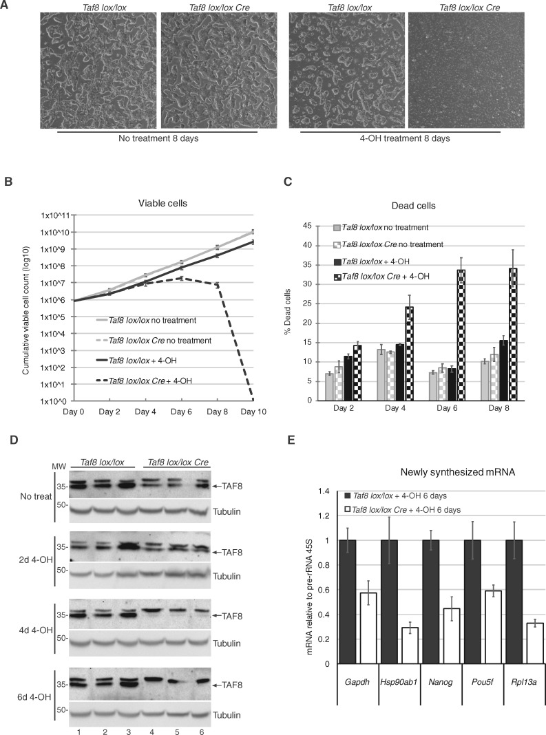 Figure 4.