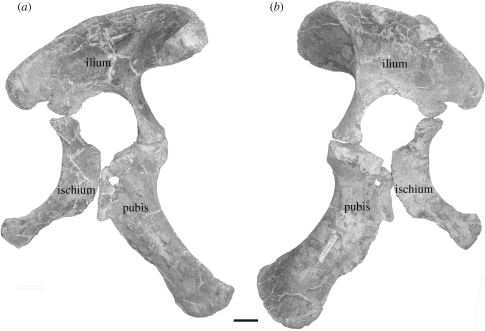 Figure 3.