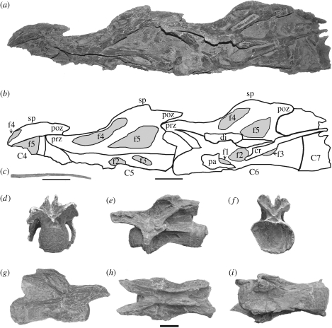 Figure 2.