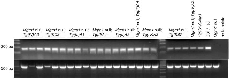 Figure 5