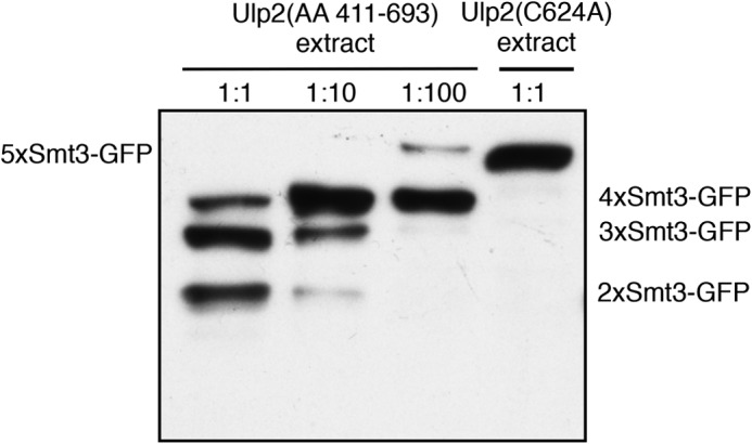 FIGURE 11.