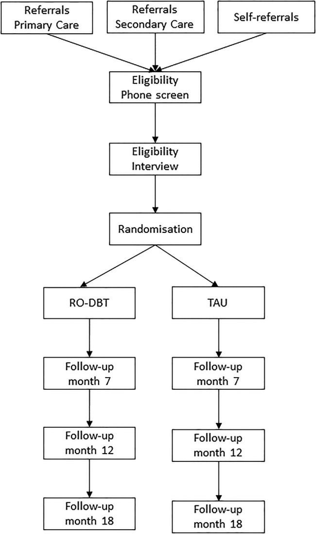 Figure 1