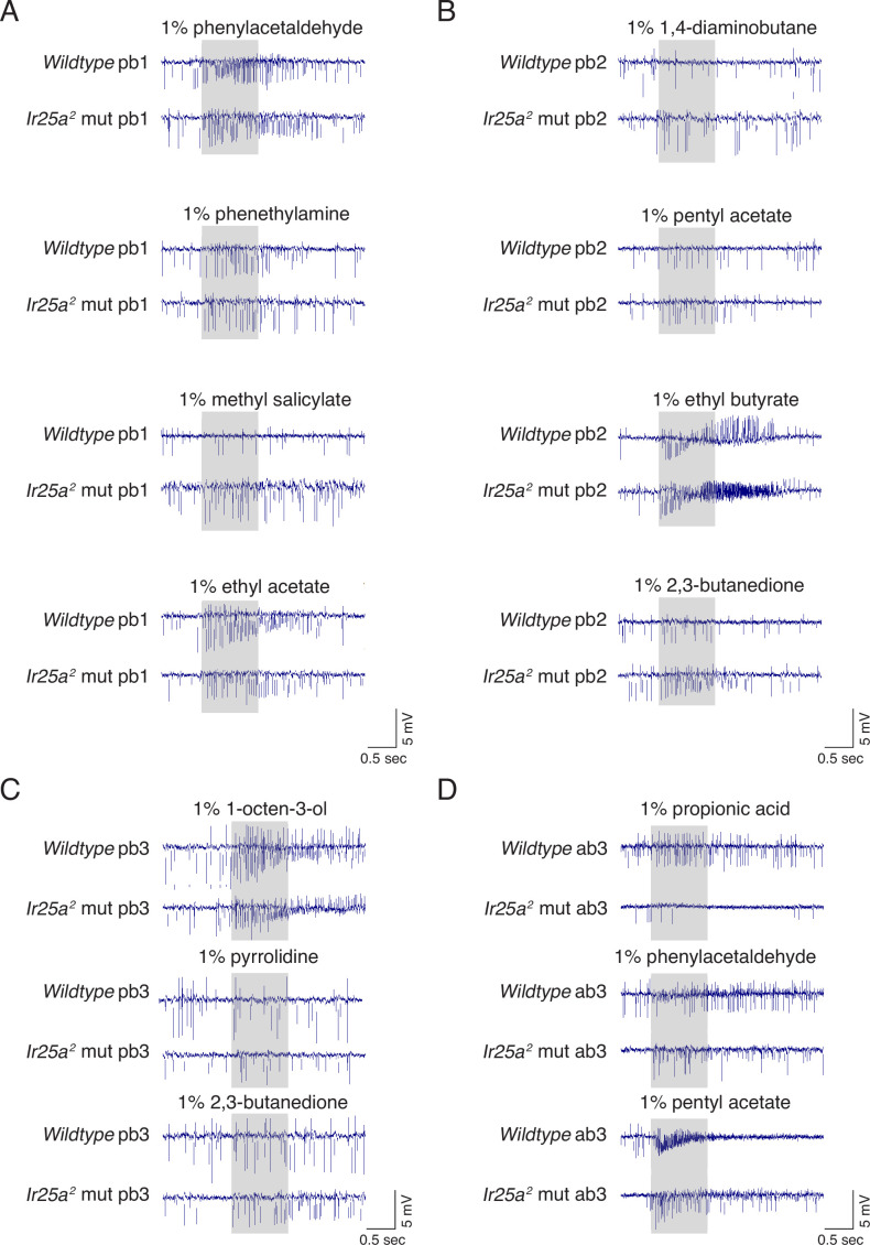 Figure 6—figure supplement 3.