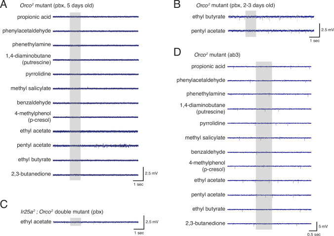 Figure 6—figure supplement 1.