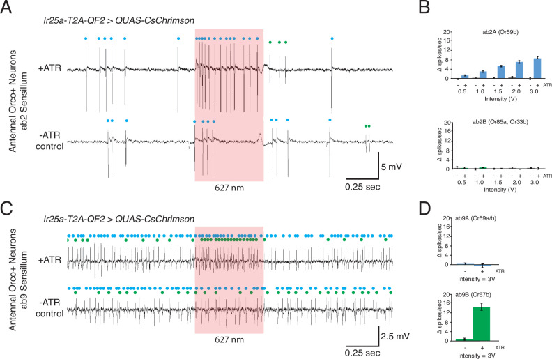 Figure 4—figure supplement 1.