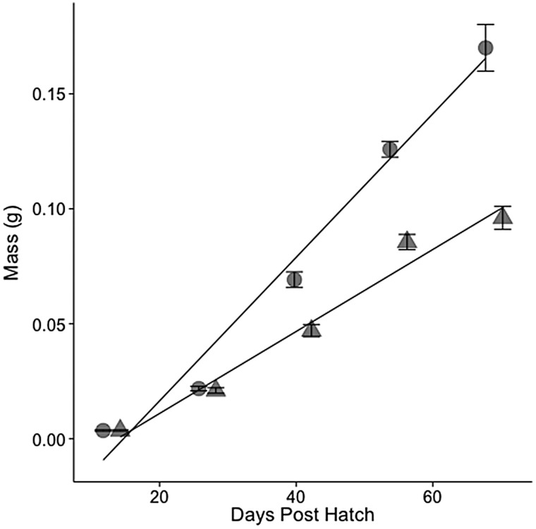 Figure 2: