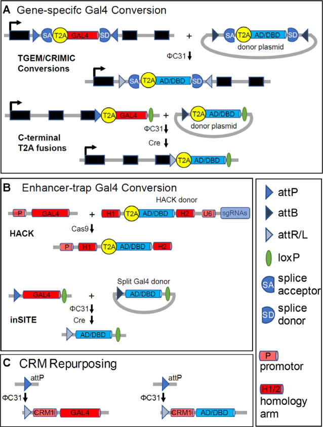 Figure 4