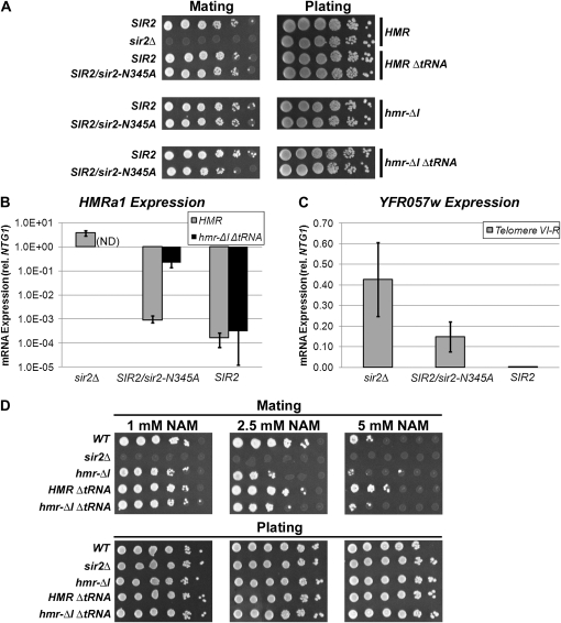 Figure 7.—