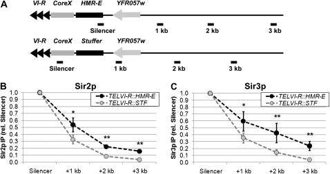 Figure 2.—