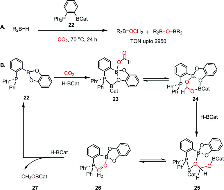 Scheme 5