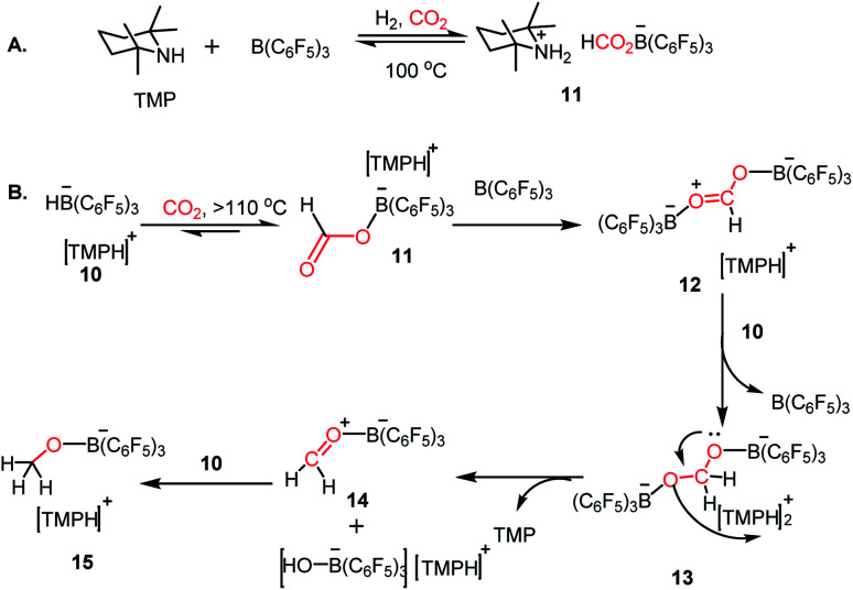 Scheme 3