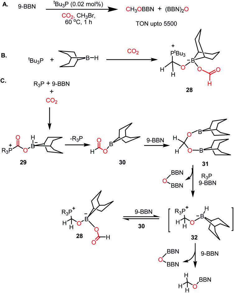 Scheme 6