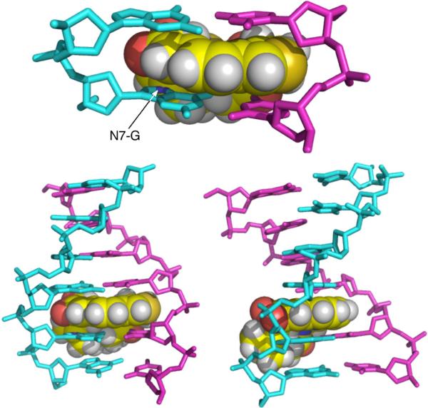 Figure 12