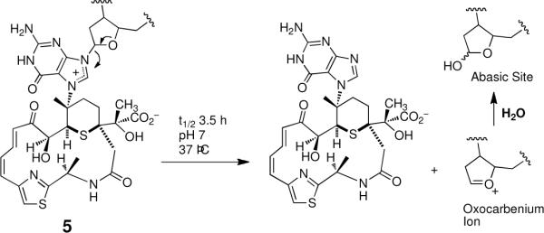 Scheme 3