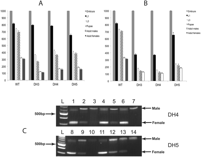 Figure 6