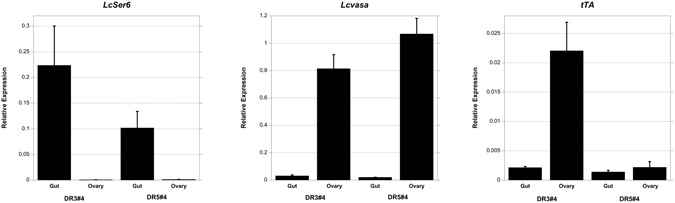 Figure 7