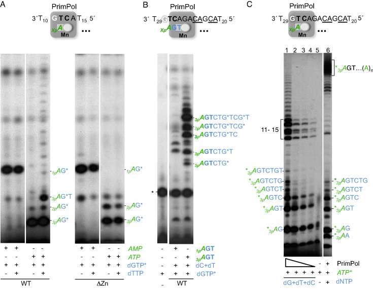 Figure 6.