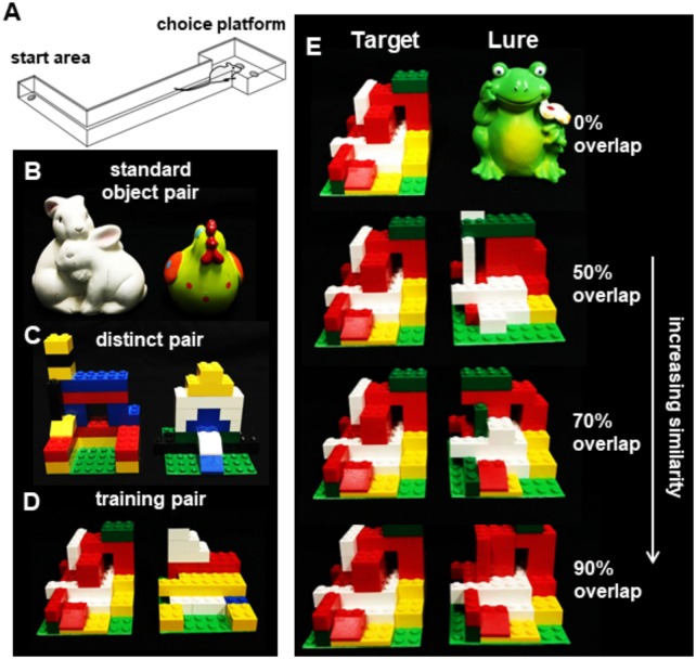 FIGURE 1