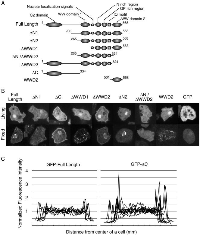 Figure 9.