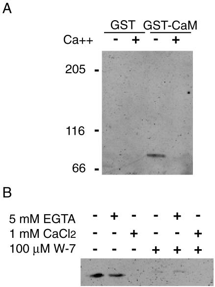 Figure 10.