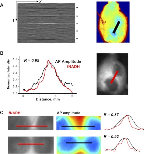 Fig. 4.