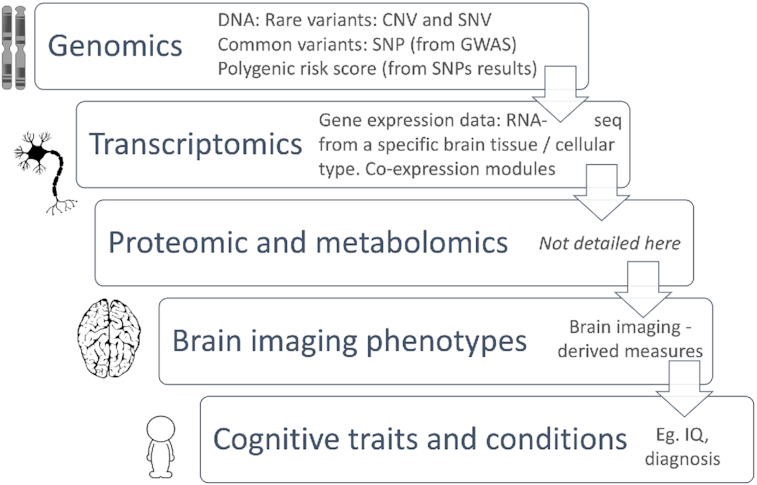 Figure 2: