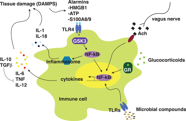 Figure 4.