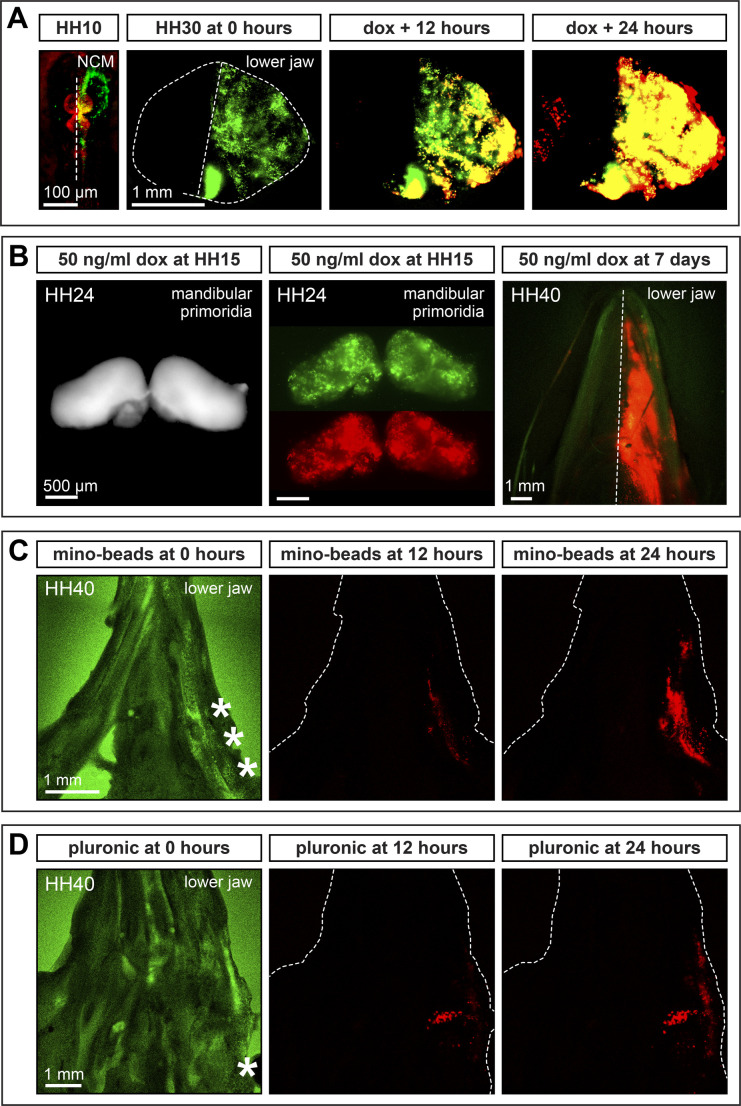 Fig. 4.