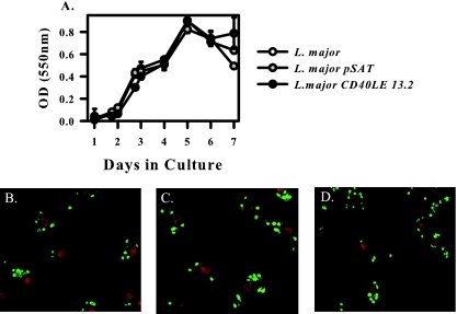 FIG. 2.