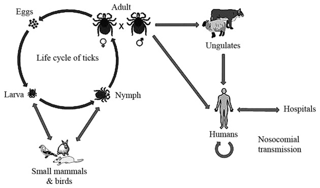 Figure 2.